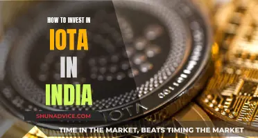 A Beginner's Guide to Investing in IOTA in India