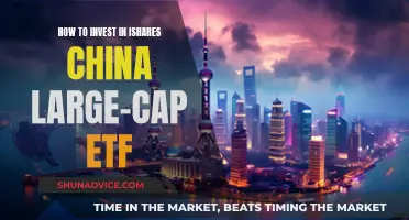 Invest in iShares China Large-Cap ETF: A Guide