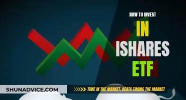 A Beginner's Guide to iShares ETF Investing