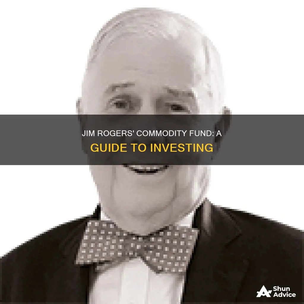 how to invest in jim rogers commodity fund