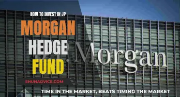 Strategies for Investing in JP Morgan's Hedge Fund