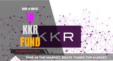 KKR Fund: A Guide to Investing in Their Success