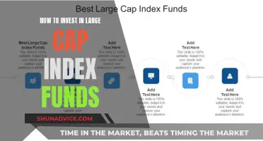 Large-Cap Index Funds: A Smart Investment Strategy