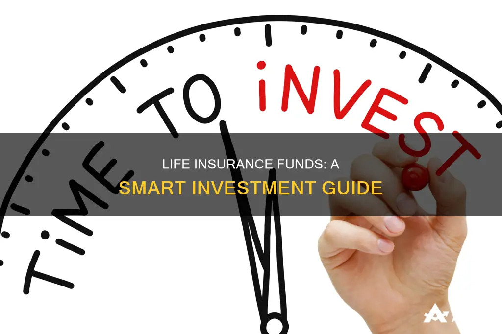 how to invest in life insurance funds