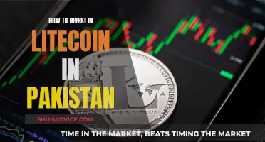 A Beginner's Guide to Investing in Litecoin in Pakistan