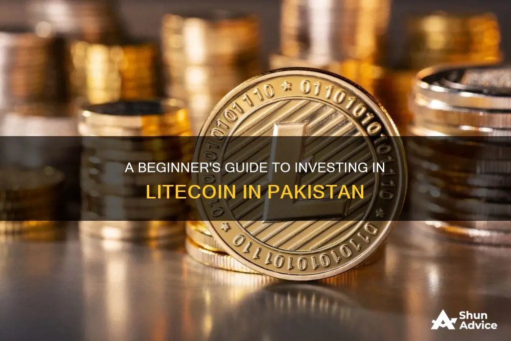 how to invest in litecoin in pakistan