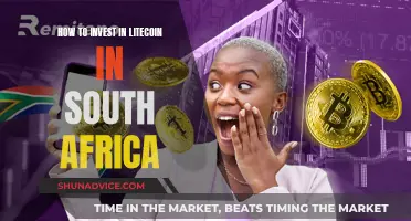 A Beginner's Guide to Investing in Litecoin in South Africa