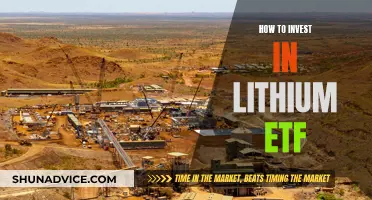 Lithium ETF: A Smart Investment Strategy for Beginners