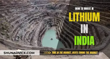 Lithium Investment Guide for Indians: Getting Started