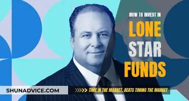 Investing in Lone Star Funds: A Comprehensive Guide