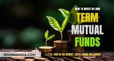 Mutual Fund Strategies: Long-Term Investments for Beginners