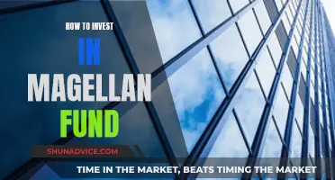 A Guide to Investing in the Magellan Fund