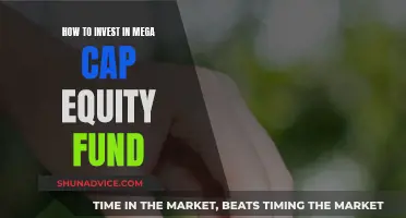 Mega-Cap Equity Fund: A Smart Investment Strategy