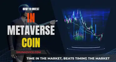 Metaverse Coin Investment: A Beginner's Guide