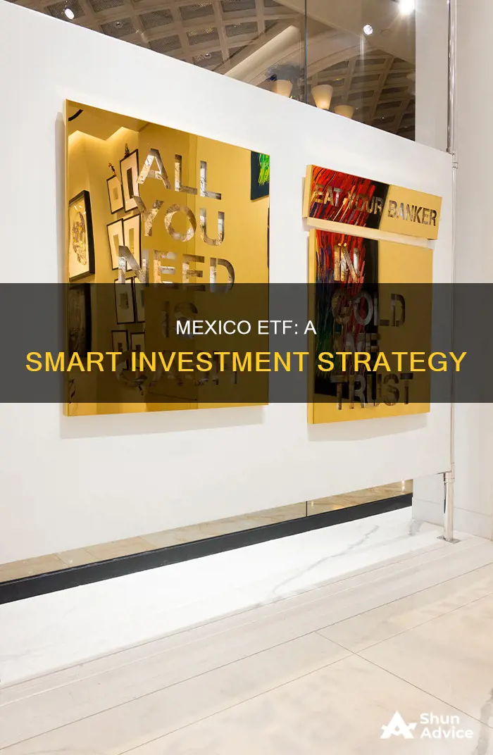 how to invest in mexico etf