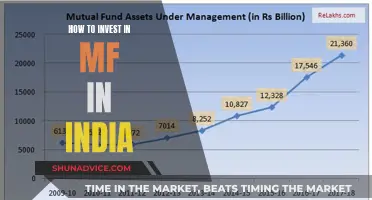 A Beginner's Guide to Mutual Fund Investing in India