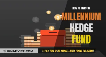 Millennium Hedge Fund: A Guide to Investing Wisely