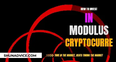 A Beginner's Guide to Investing in Modulus Crypto