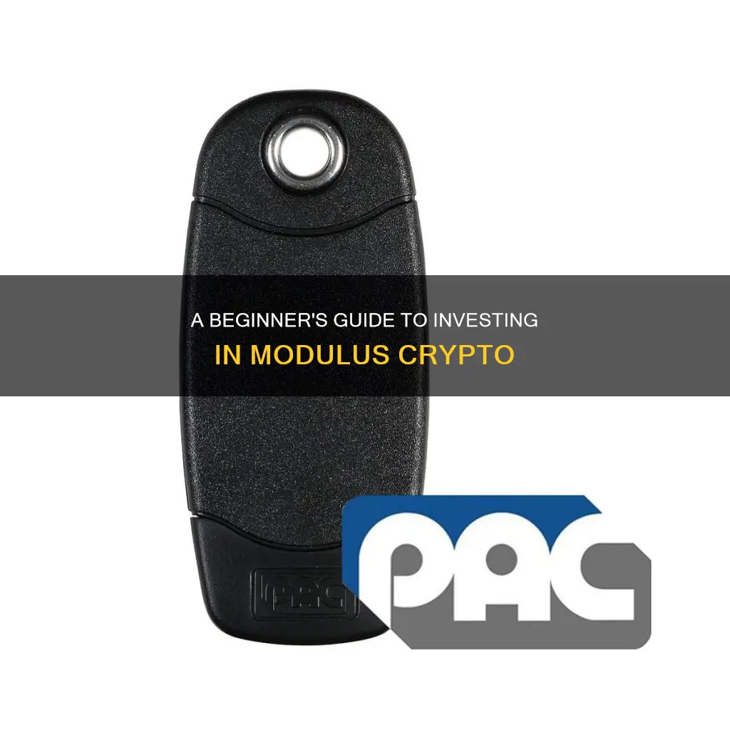 how to invest in modulus cryptocurrency