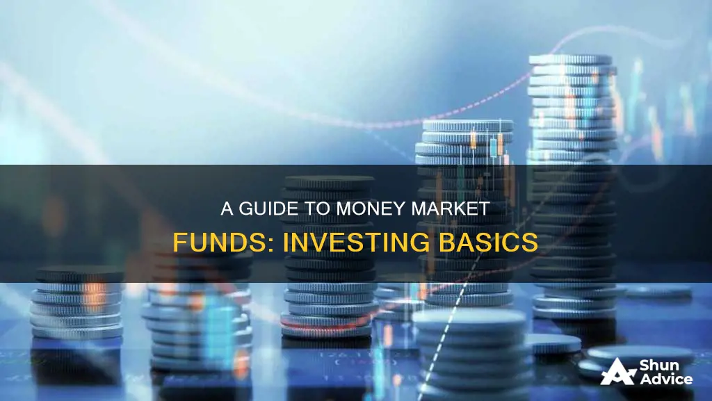 how to invest in moey market funds