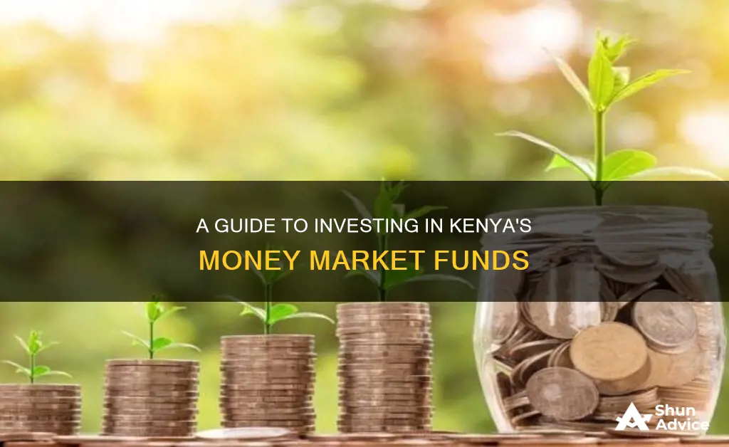 how to invest in money market fund in kenya