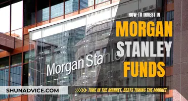 Morgan Stanley Funds: A Guide to Investing