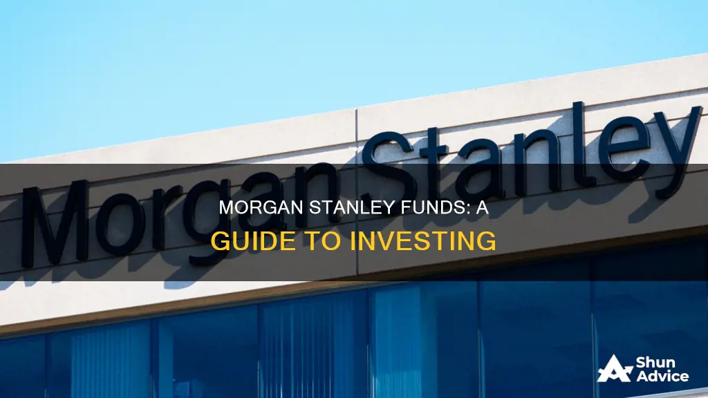 how to invest in morgan stanley funds