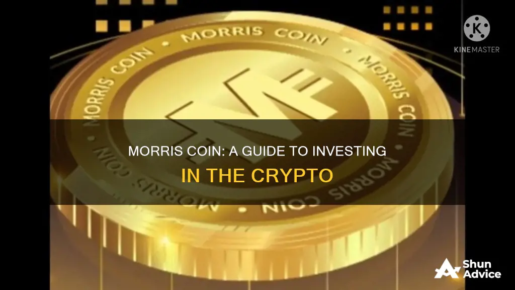 how to invest in morris coin