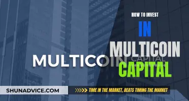 Strategies for Investing in Multicoin Capital