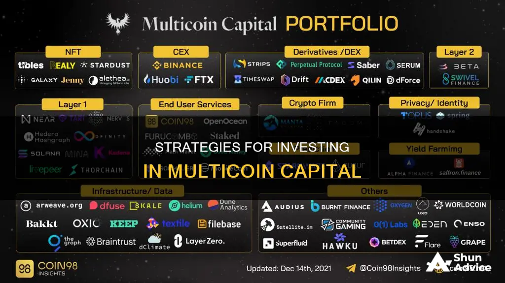 how to invest in multicoin capital