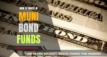 Muni Bond Funds: A Guide to Investing Wisely