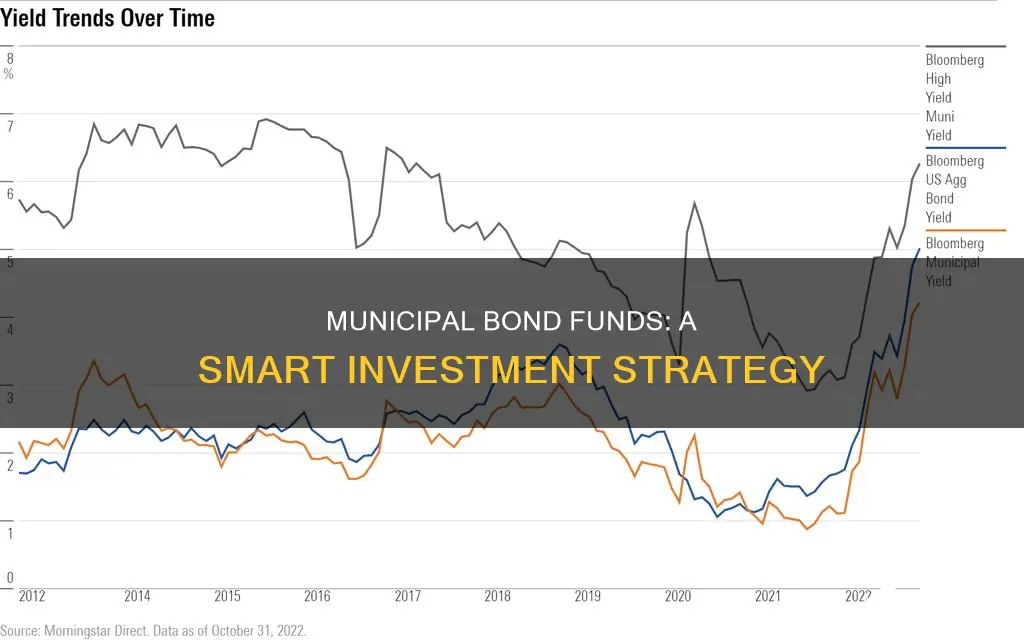 how to invest in municipal bond funds