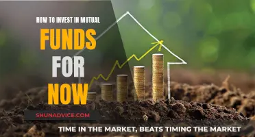 Mutual Funds: Invest Now, Here's How