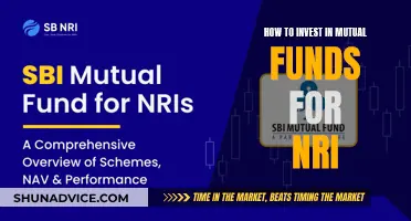 A Beginner's Guide to Mutual Funds for NRIs