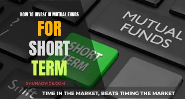 A Smart Guide to Short-Term Mutual Fund Investing