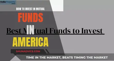 A Guide to Mutual Fund Investing in America