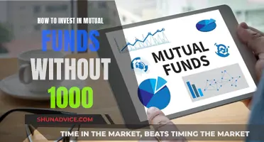 A Beginner's Guide to Mutual Fund Investing with Small Capital