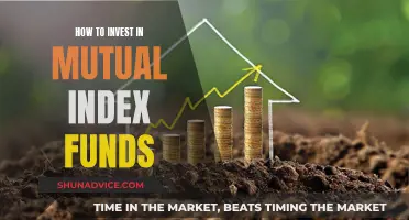 A Beginner's Guide to Mutual Index Funds Investing