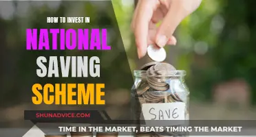 National Saving Scheme: Smart Investment Strategies