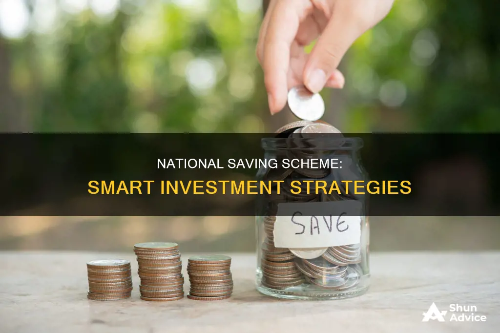 how to invest in national saving scheme