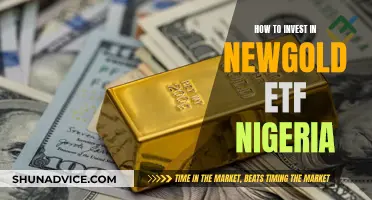 A Golden Investment Guide: NewGold ETF Nigeria