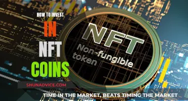 Investing in NFT Coins: A Beginner's Guide to Success