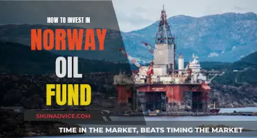 Norway Oil Fund: A Guide to Investing Wisely