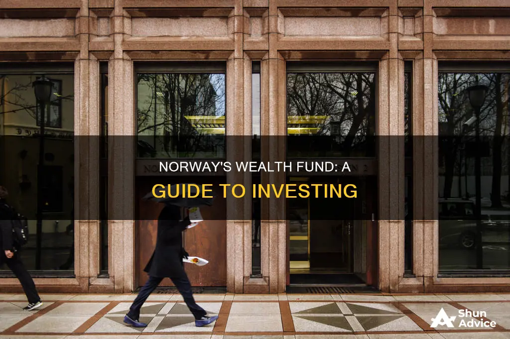 how to invest in norway sovereign wealth fund