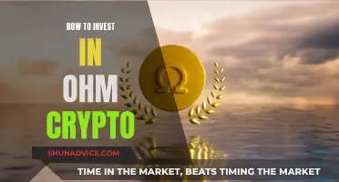 A Beginner's Guide to Investing in Ohm Crypto