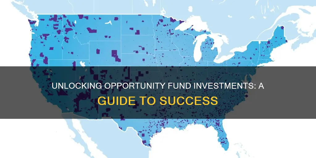 how to invest in opportunity funds