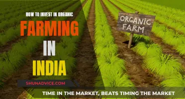 Organic Farming in India: A Guide to Investing Wisely