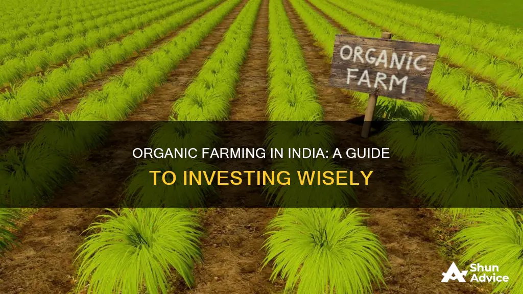 how to invest in organic farming in india