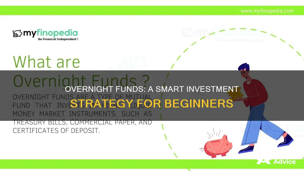 how to invest in overnight funds