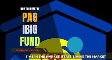 A Smart Guide to Investing in Pag-IBIG Fund